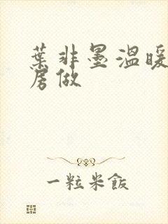 叶非墨温暖在厨房做