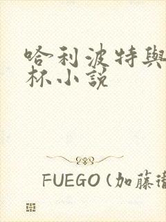 哈利波特与火焰杯小说