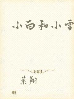 小白和小雪