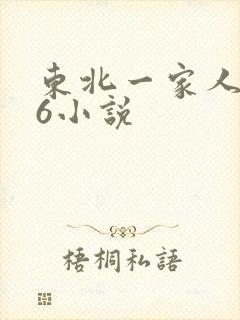 东北一家人1一6小说