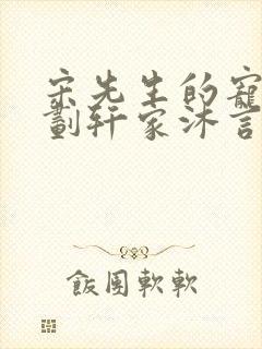 宋先生的宠妻计划轩家沐言