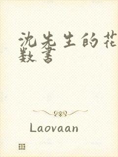 沈先生的花式调数书