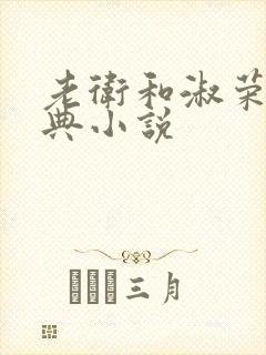 老卫和淑荣的经典小说