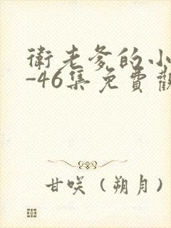 卫老爹的小船1-46集免费观看