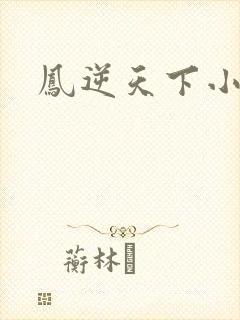 凤逆天下小说