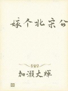 嫁个北宋公务员