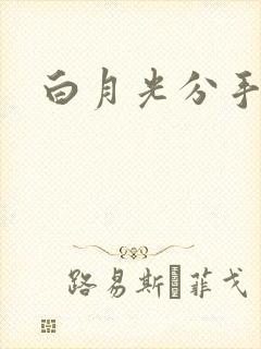 白月光分手日常