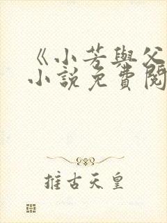 《小芳与父亲》小说免费阅读