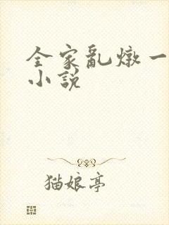 全家乱炖一锅烩小说