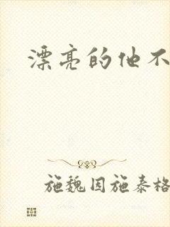 漂亮的他不说话