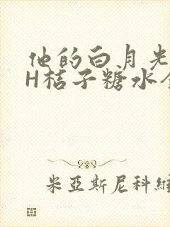 他的白月光HVH桔子糖水全文