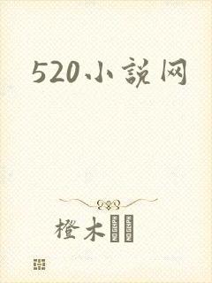 520小说网