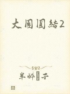 大团圆结2