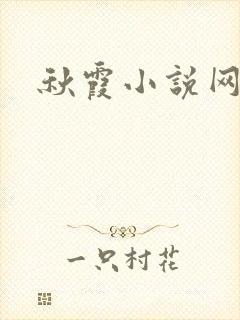 秋霞小说网