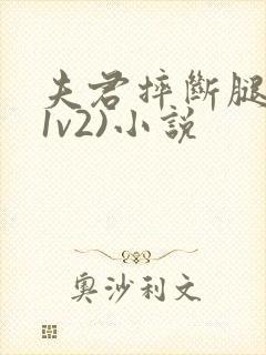 夫君摔断腿后(1v2)小说