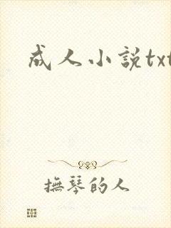 成人小说txt