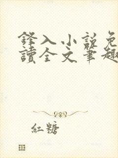 锋入小说免费阅读全文笔趣阁