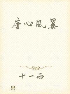 唐心风暴