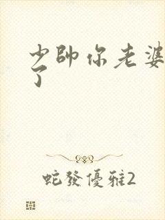 少帅你老婆又跑了