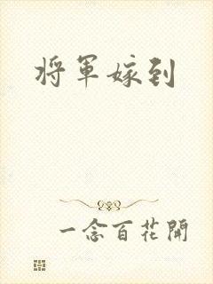 将军嫁到