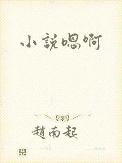 小说嗯啊