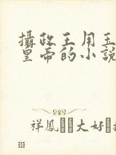 摄政王用玉髓整皇帝的小说