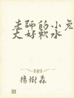 老师的小兔子好大好软水