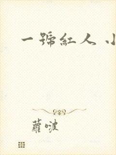 一号红人 小说
