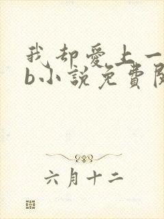 我却爱上一个sb小说免费阅读无弹窗