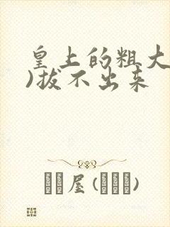 皇上的粗大(h)拔不出来