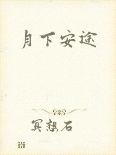 月下安途
