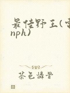 最佳野王(电竞nph)