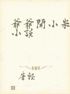 爷爷开小米的包小说