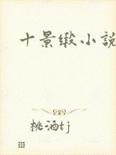 十景缎小说