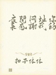 夜间网址你会回来感谢我的