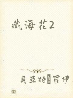 藏海花2