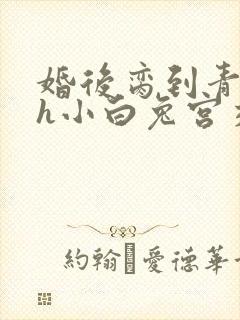 婚后脔到青梅哭h小白兔宫交h