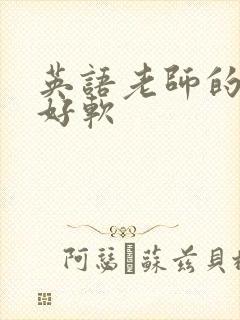 英语老师的兔子好软