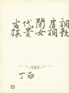 古代闺房调教h揉贵女调教记
