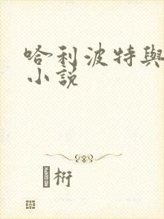 哈利波特与密室小说