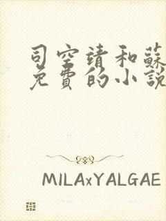 司空靖和苏月汐免费的小说笔趣阁