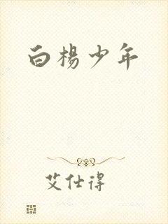 白杨少年