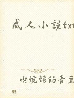 成人小说txt