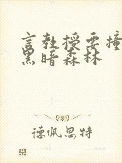 言教授要撞坏了黑暗森林