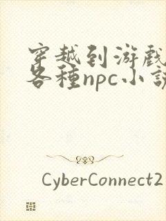 穿越到游戏里和各种npc小说