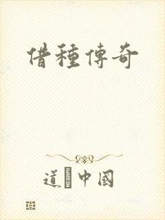 借种传奇