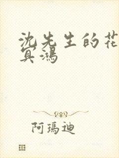 沈先生的花式调冥鸿