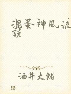 混蛋神风流史小说