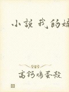 小说 我的娇妻
