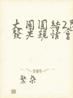 大团圆结2闪闪发光亲情会